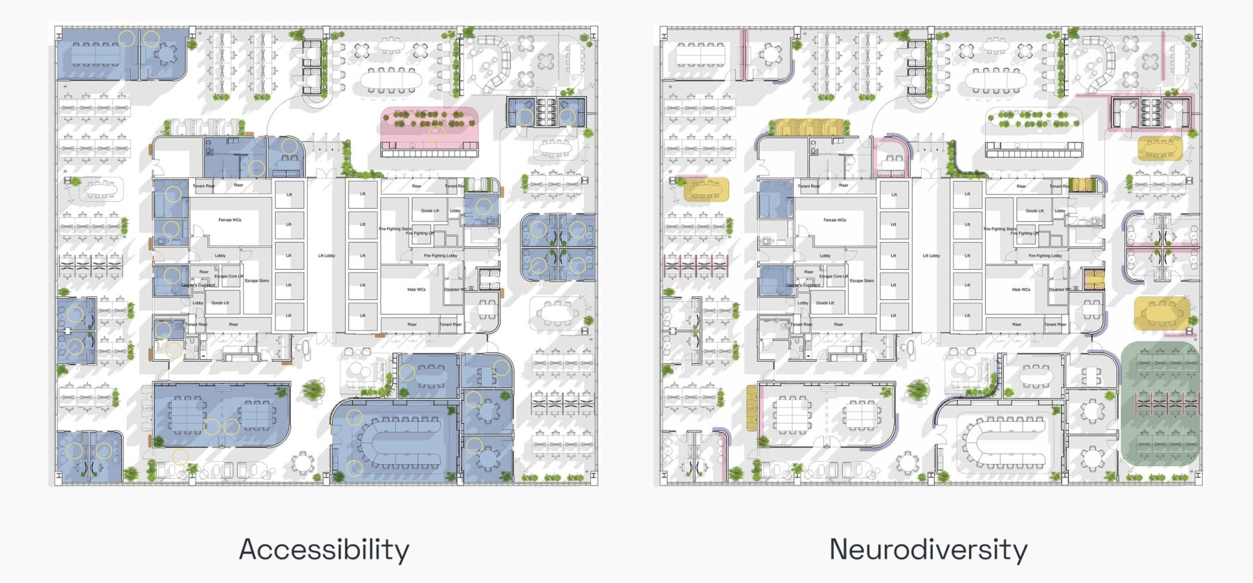 An inclusive, accessible and diverse workspace - AWW